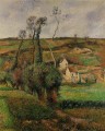the cabage place at pontoise 1882 Camille Pissarro